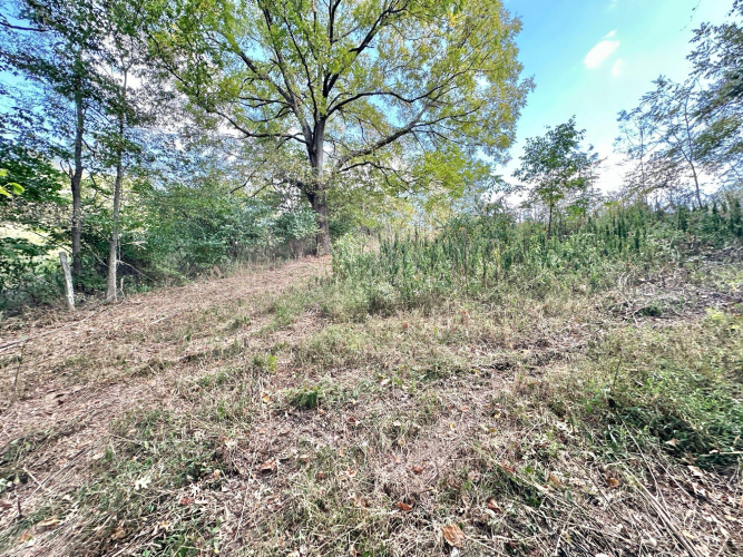 Listing Image 18