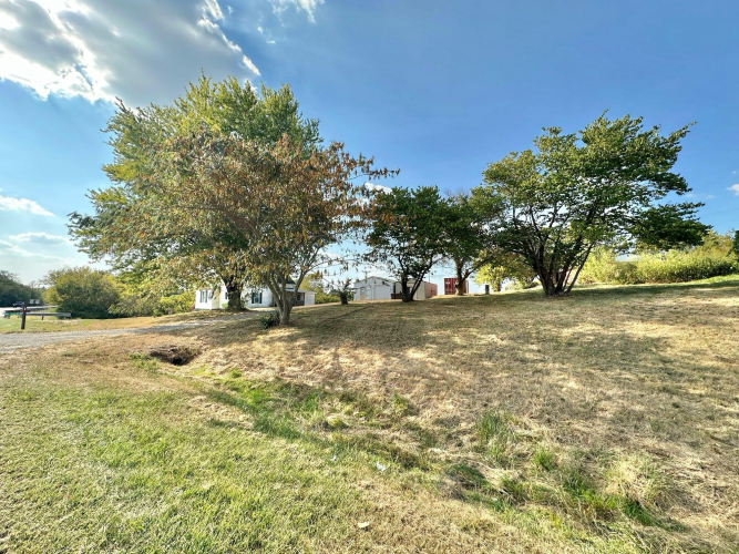 Listing Image 25