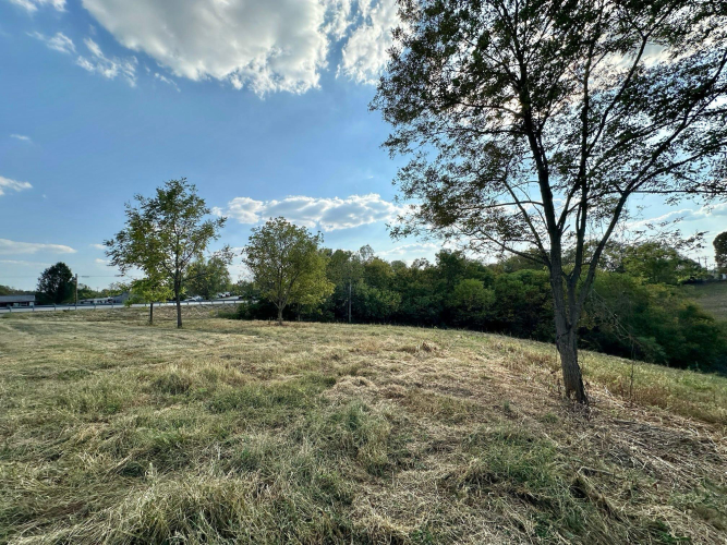 Listing Image 27