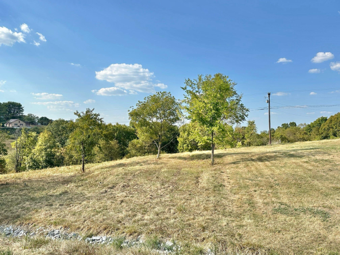 Listing Image 28