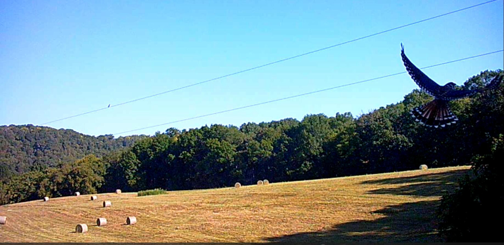 Listing Image 26