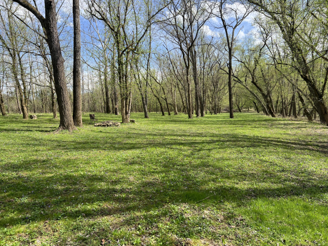 Listing Image 19