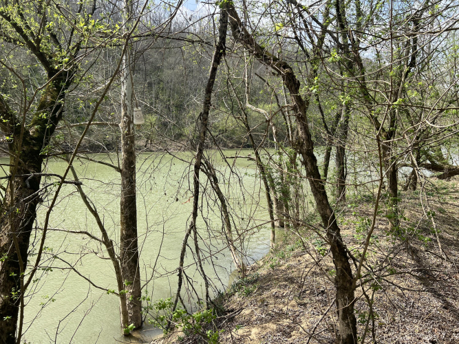 Listing Image 23