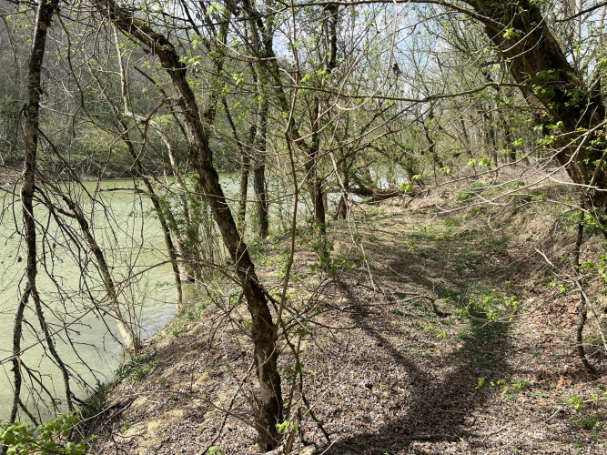 Listing Image 24