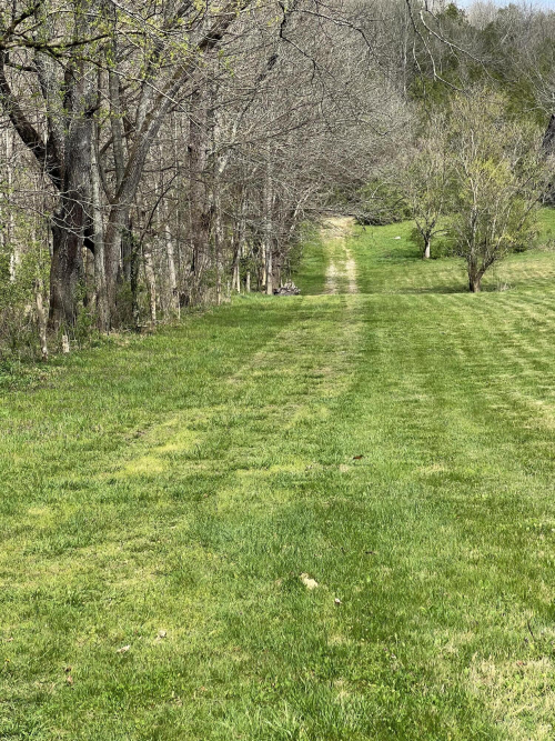 Listing Image 28