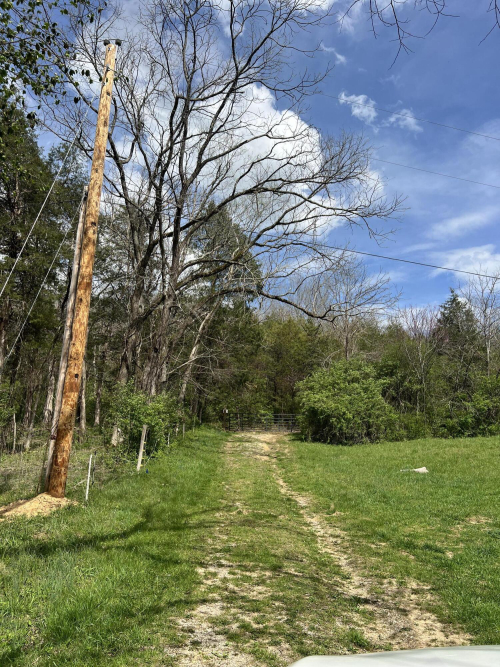 Listing Image 29