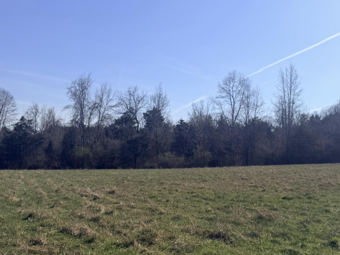 Listing Image 41