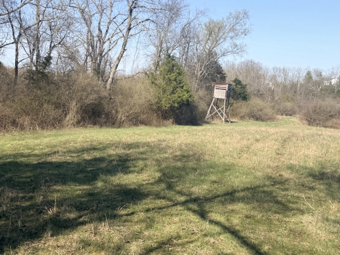 Listing Image 42