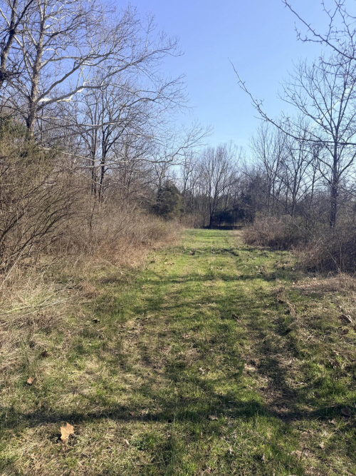 Listing Image 43