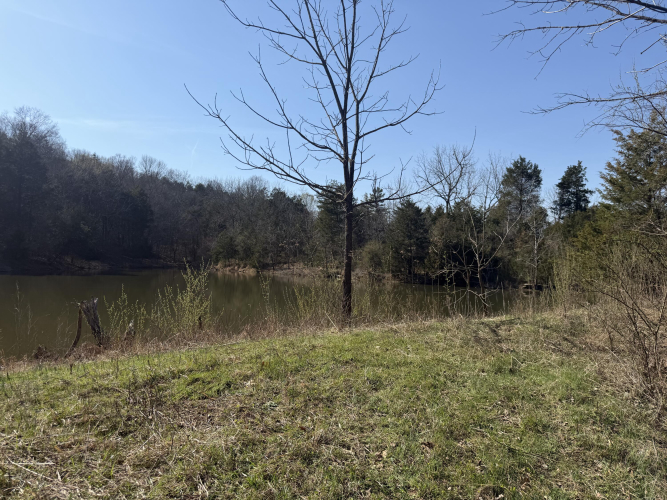 Listing Image 50