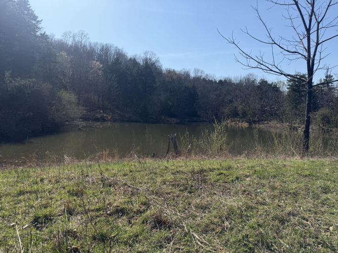 Listing Image 51