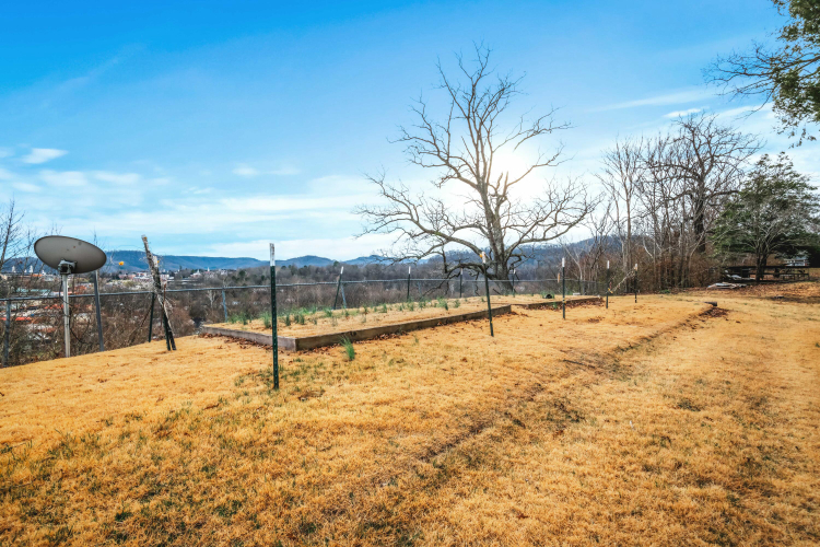 Listing Image 101
