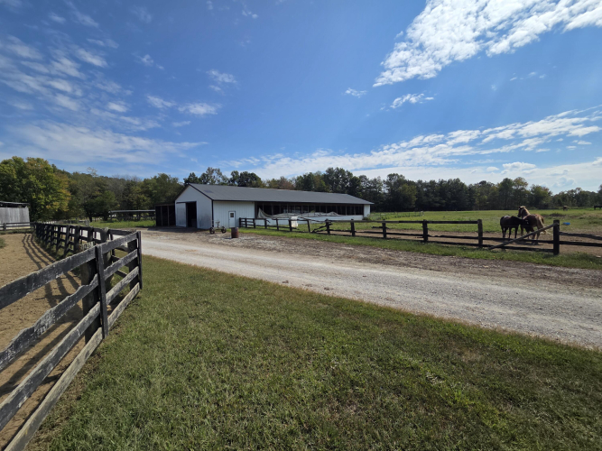 Listing Image 45