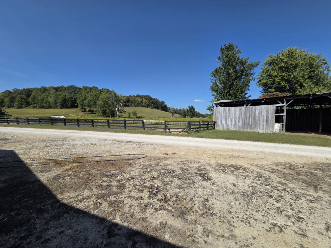Listing Image 51