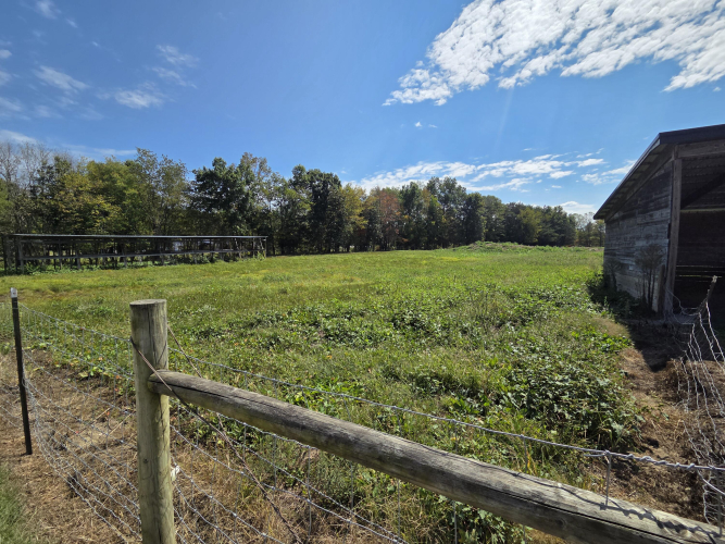Listing Image 52