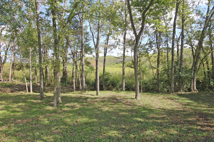 Listing Image 55