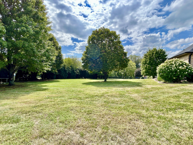 Listing Image 6