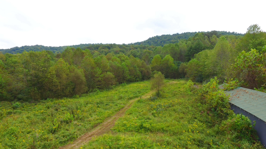Listing Image 25