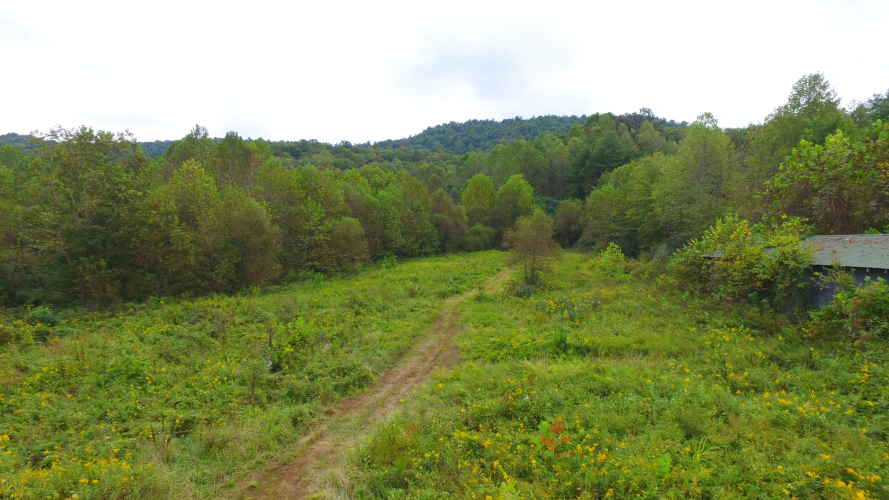 Listing Image 31