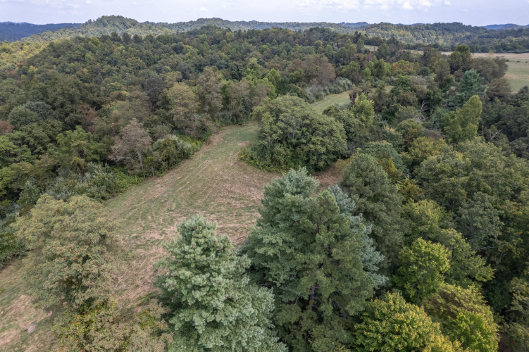 Listing Image 46