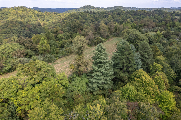 Listing Image 47