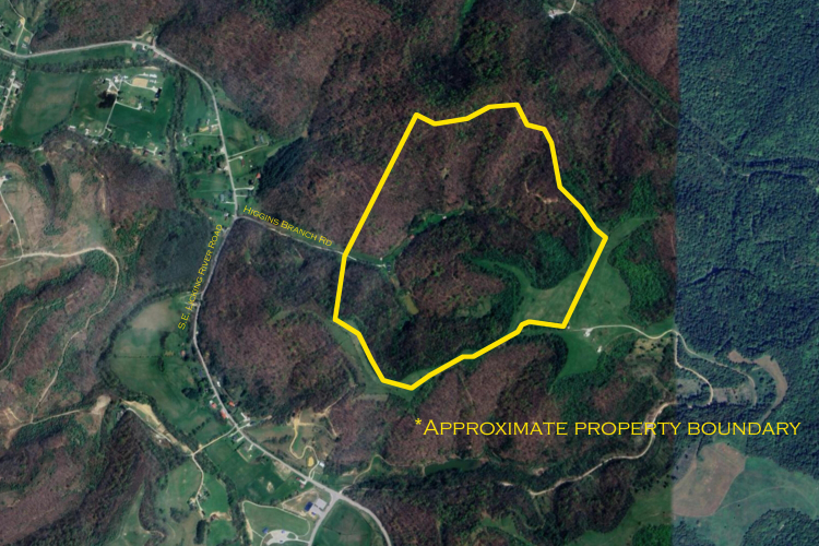 Listing Image 55