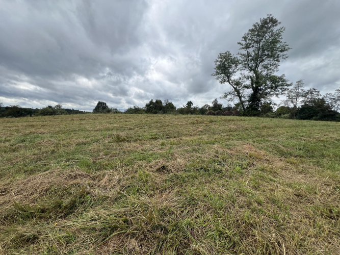 Listing Image 56