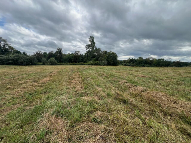 Listing Image 57