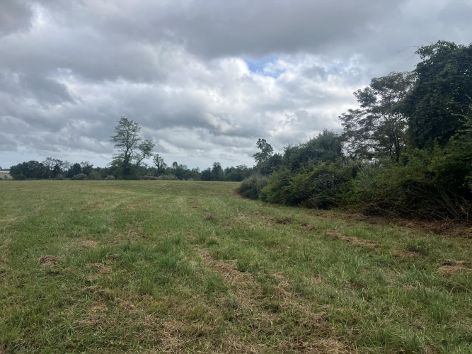 Listing Image 60