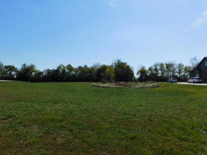 Listing Image 4