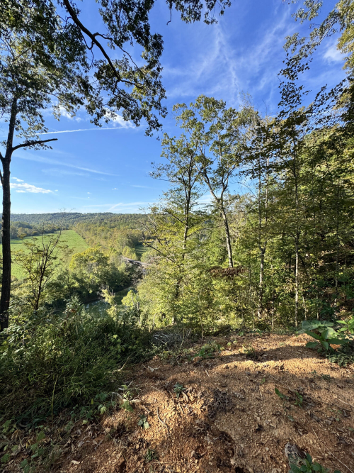 Listing Image 16