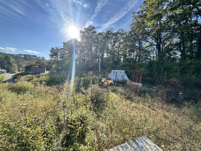 Listing Image 18