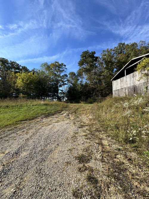 Listing Image 20
