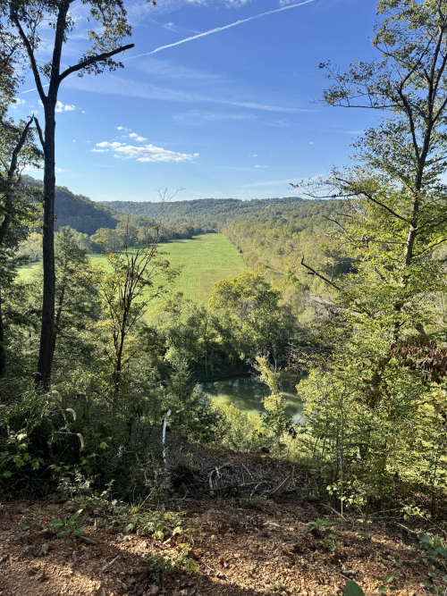 Listing Image 23