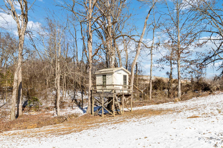 Listing Image 71