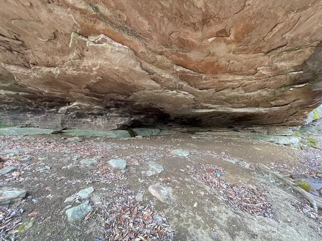 Listing Image 14