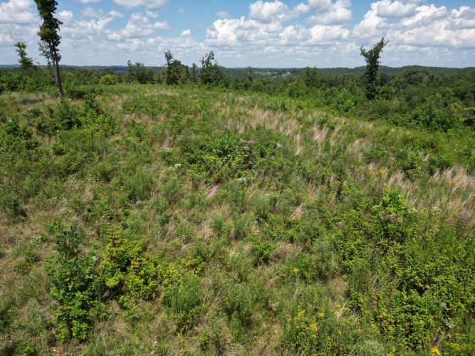 Listing Image 18