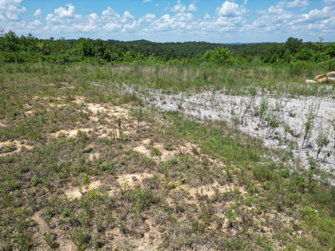 Listing Image 24