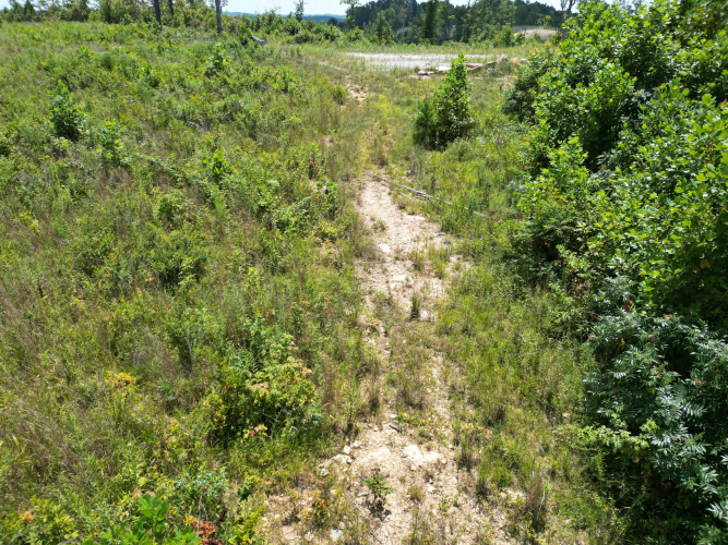 Listing Image 29