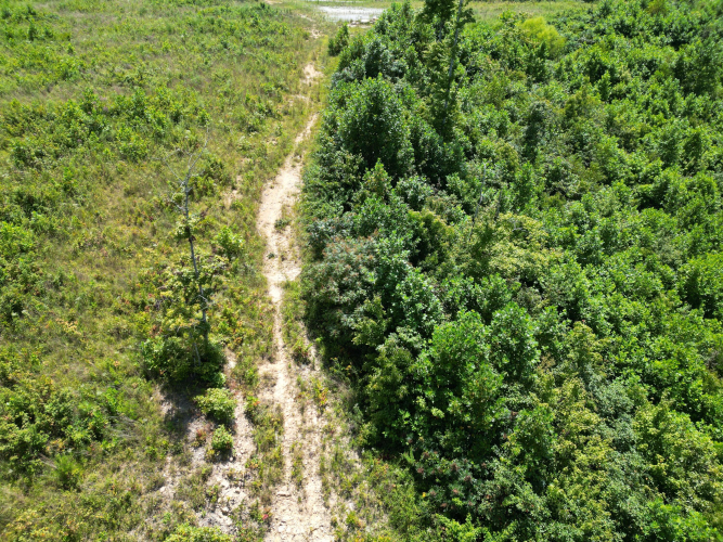 Listing Image 30