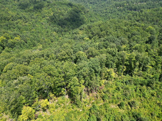 Listing Image 33