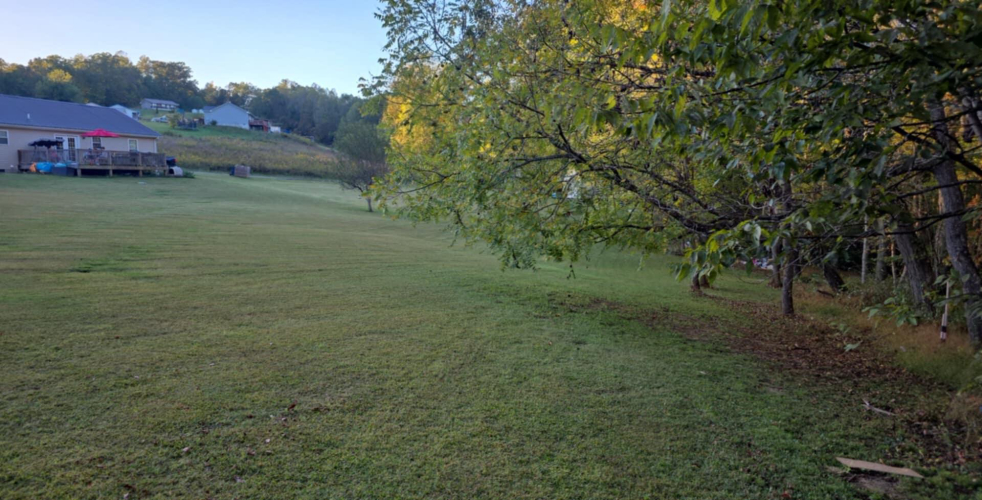 Listing Image 25