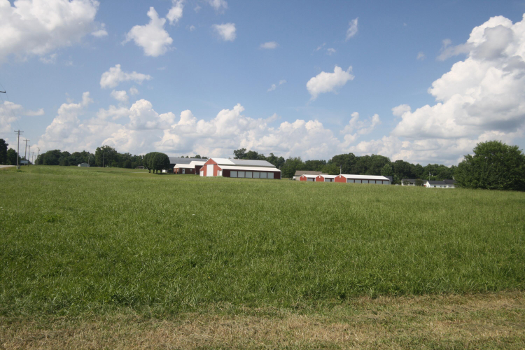 Listing Image 18