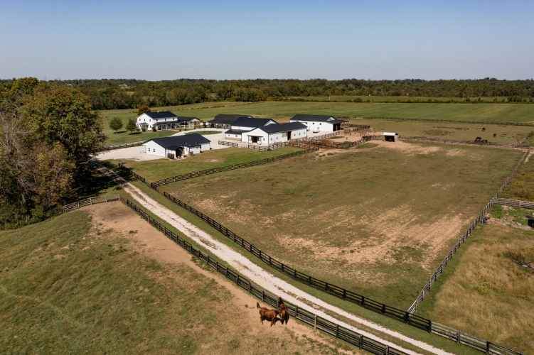 Listing Image 89