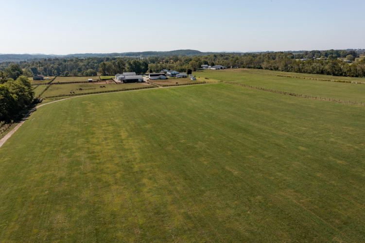 Listing Image 94