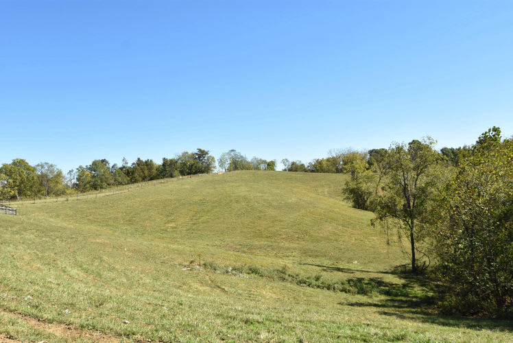Listing Image 33