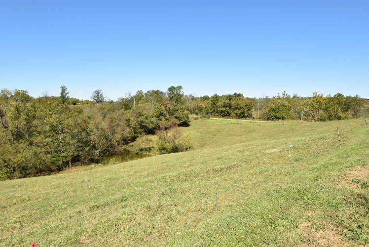 Listing Image 37