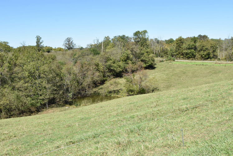 Listing Image 38