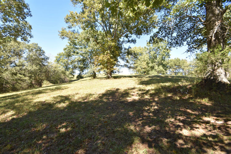 Listing Image 51