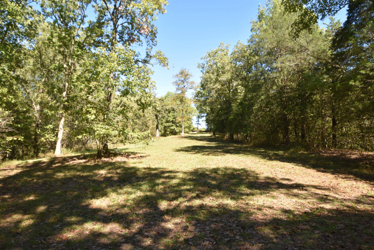 Listing Image 54